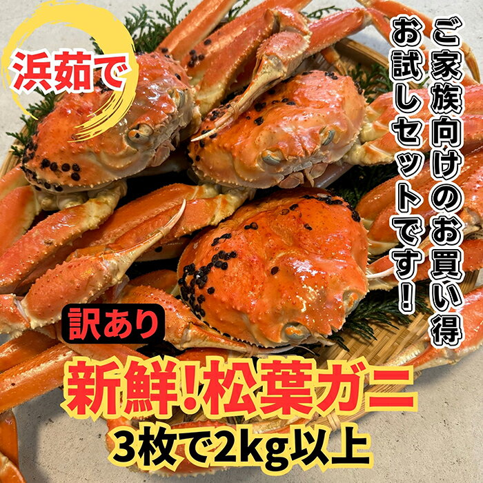 【ふるさと納税】【22017】鳥取網代港【訳あり】浜茹で！松葉ガニ2kgセット【さかなや新鮮組】