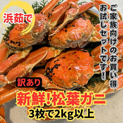 【22017】鳥取網代港【訳あり】浜茹で！松葉ガニ2kgセット【さかなや新鮮組】