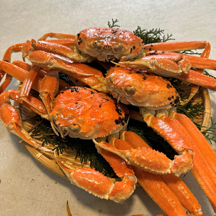 鳥取県岩美町の画像2