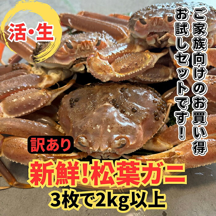 2位! 口コミ数「0件」評価「0」【22018】鳥取網代港【訳あり】活！松葉ガニ2kgセット 11月以降順次発送【さかなや新鮮組】