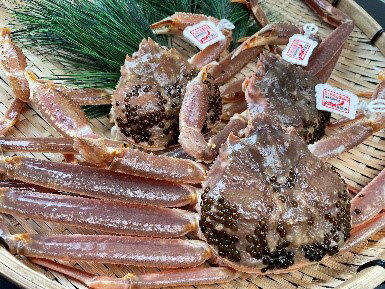 [22016]鳥取県網代産 訳あり松葉がに1kgセット|鳥取県 岩美町 蟹 かに カニ 松葉がに 松葉ガニ ズワイガニ 訳あり 訳アリ 新鮮 魚介 冷蔵