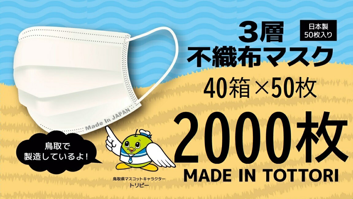 8位! 口コミ数「0件」評価「0」【72001】鳥取県岩美町産　不織布マスク50枚入り×40箱（2000枚）