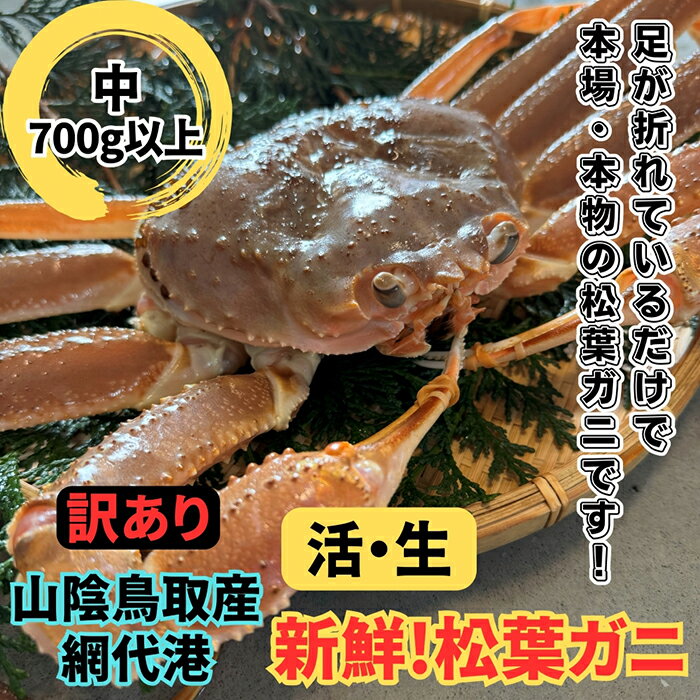 26位! 口コミ数「0件」評価「0」【22030】鳥取網代港【訳あり】活！松葉ガニ（中）700g以上 11月以降順次発送【さかなや新鮮組】