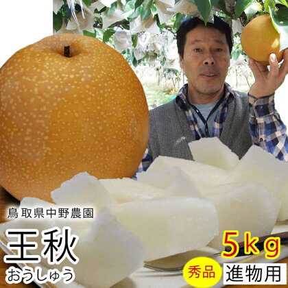 【41011】【中野農園】王秋梨 5kgセット（5-9玉）ご進物用