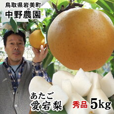 【ふるさと納税】【中野農園】愛宕梨 5kgセット(5-8玉)ご進物用|鳥取県 岩美町 梨 なし ナシ 愛宕梨 果物 フルーツ 詰め合わせ セット ご進物 送料無料【41013】
