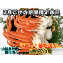 松葉ガニ 【ふるさと納税】【22035】鳥取網代港　地元で大人気　浜茹で！若松葉ガニ（中5枚10肩）11月以降発送【さかなや新鮮組】