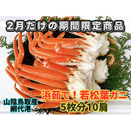 【22035】鳥取網代港　地元で大人気　浜茹で！若松葉ガニ（中5枚10肩）11月以降発送【さかなや新鮮組】