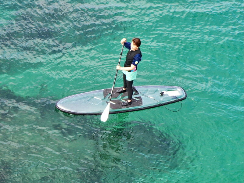 【ふるさと納税】【C-7】浦富海岸マリンスポーツ体験