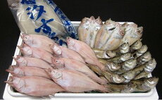 【ふるさと納税】いわみ小包(海)<海産物一夜干し>|鳥取県 岩美町 ハタハタ カレイ スルメ イカ いか ノドグロ のどぐろ 干物 干し物 一夜干し 海鮮 魚介 食べ比べ 詰め合わせ セット 冷凍【2...