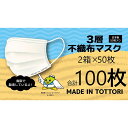 【ふるさと納税】【72005】鳥取県岩美町産 不織布マスク50枚入り×2箱（100枚）