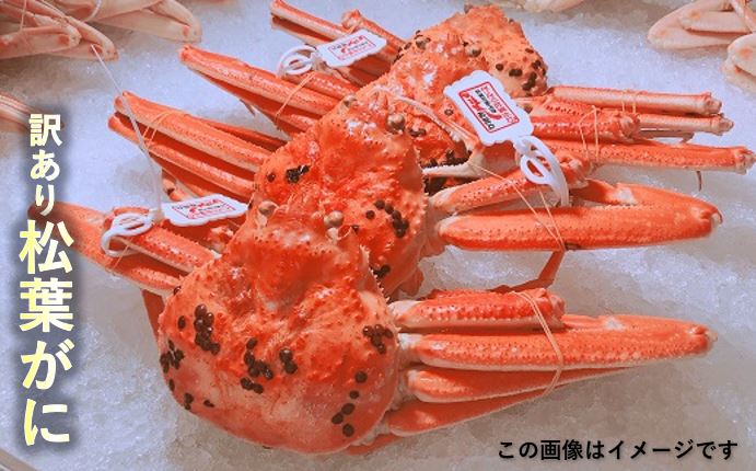 【ふるさと納税】【C-2-1】訳あり松葉がに（ボイル）　4〜6枚　約1.5kg