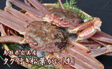 【ふるさと納税】【A-9】鳥取県岩美産タグ付き松葉がに(生)