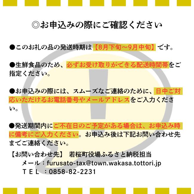【ふるさと納税】【先行予約】農家さん応援！訳あり新甘泉（しんかんせん）3kg前後 [222-W22]／なし 梨 くだもの 果物 フルーツ 鳥取 若桜町 鳥取県産 送料無料