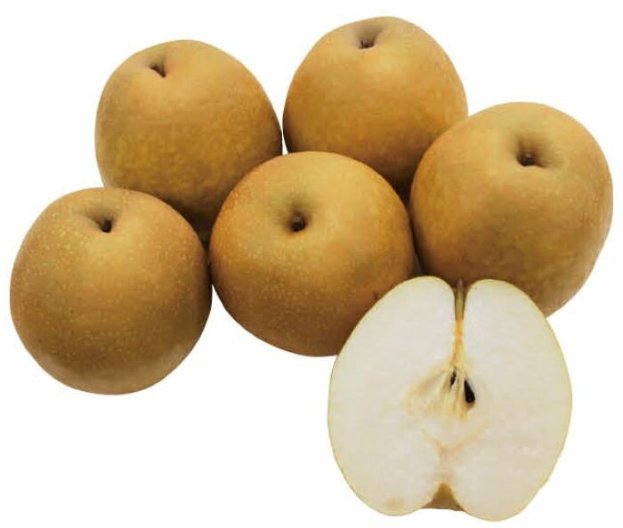 【ふるさと納税】18.若桜町産「王秋梨」3kg