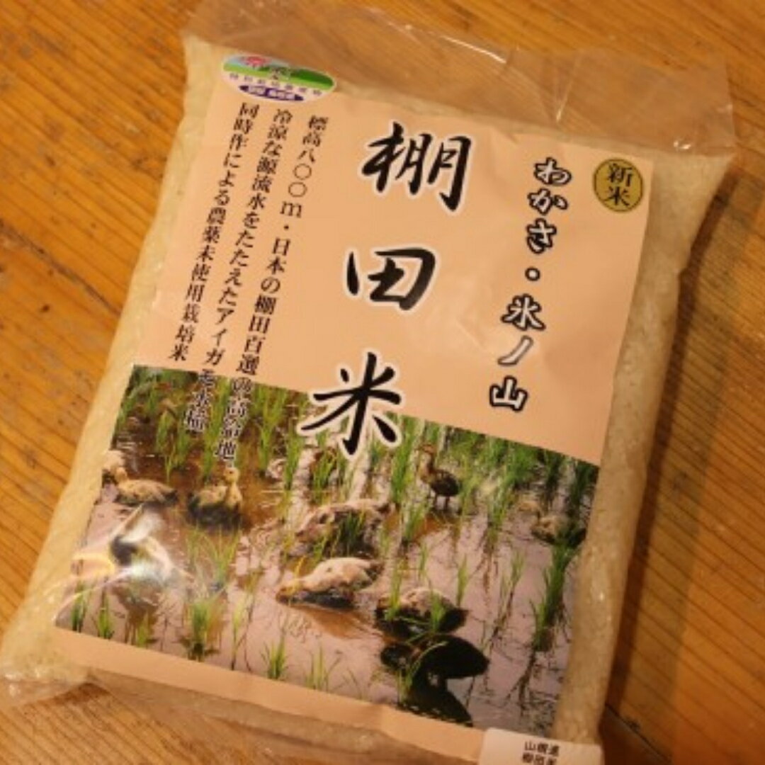 9.わかさ氷ノ山棚田米 4kg