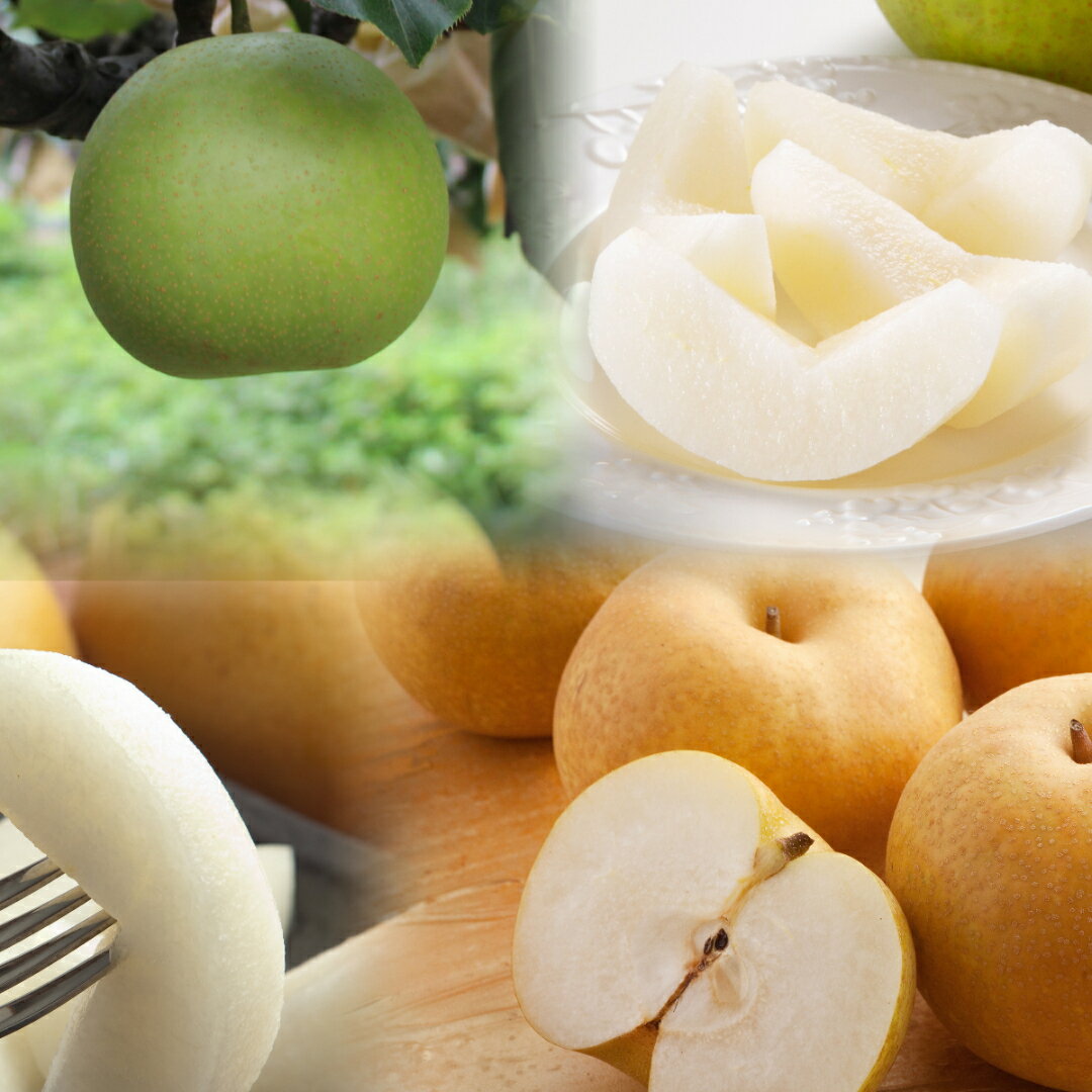 【ふるさと納税】360-W25.【品種はおまかせ】農家さん応援! 訳あり鳥取県産旬の梨3kg /なし 梨 くだもの 果物 フルーツ 鳥取 若桜町 鳥取県産 送料...