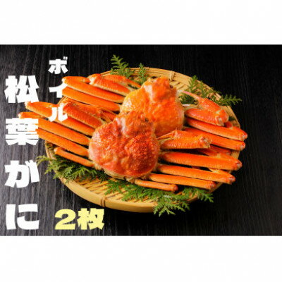 【ふるさと納税】『鳥取の冬の味覚の王者』(ボイル)松葉がに 2枚 【2026年1月以降順次発送】【配送不可地域：離島・北海道・沖縄県・東北・関東・信越、北陸・東海・九州】【1527900】