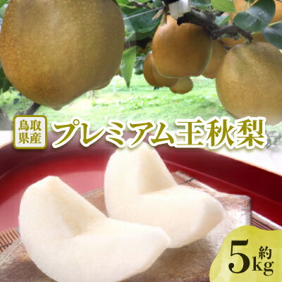 【ふるさと納税】【先行予約】プレミアム王秋梨 約5kg【配送不可地域:離島・北海道・沖縄県】【1532297】