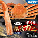 【ふるさと納税】早期受付 鳥取県産タグ付きボイル松葉ガニ大1枚【2025/10/31までのお申込み分】【配送不可地域:離島・北海道・沖縄県】【1536364】
