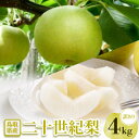 【ふるさと納税】【訳あり】二十世紀梨 4kg【配送不可地域:離島・北海道・沖縄県】【1593369】
