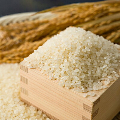 ふるさと納税 食味鑑定士厳選 鳥取県産 きぬむすめ30kg(5kg×6袋) 精米 1644359 f313289-chizu-10000336 鳥取県智頭町 サンプル画像3