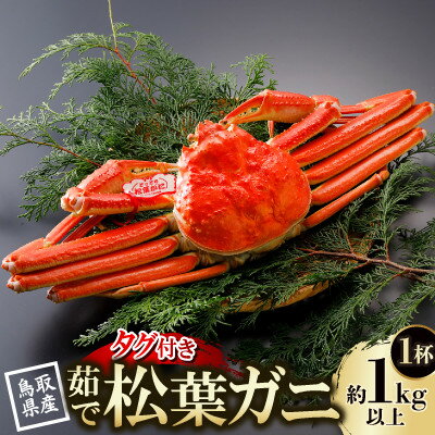 [先行予約]鳥取県産 タグ付き 茹松葉がに 1kg以上×1杯(中村商店)2026年1月末より順次発送[配送不可地域:離島・北海道・沖縄県・東北・信越、北陸]