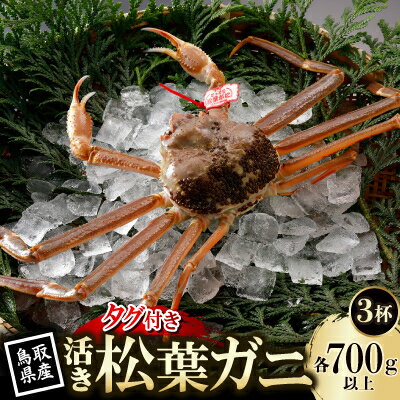 【ふるさと納税】【先行予約】鳥取県産 タグ付き 活 松葉がに 700g×3杯(中村商店)2026年11月発送【配送不可地域：離島・北海道・沖縄県・東北・信越、北陸】【1653912】