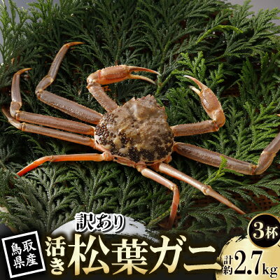 【ふるさと納税】【先行予約】鳥取県産 訳あり 活 松葉がに 900g×3杯(中村商店)2026年11月発送【配送不可地域：離島・北海道・沖縄県・東北・信越、北陸】【1653949】