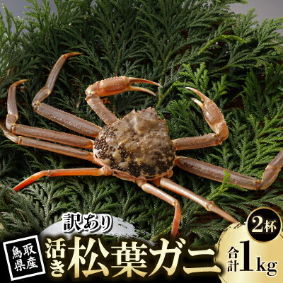【ふるさと納税】【先行予約】鳥取県産 訳あり 活 松葉がに 500g×2杯(中村商店)2026年11月発送【配送不可地域：離島・北海道・沖縄県・東北・信越、北陸】【1653973】