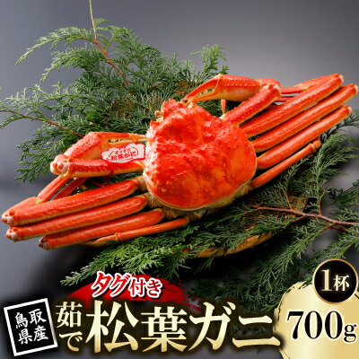 【ふるさと納税】【先行予約】鳥取県産 タグ付き 茹 松葉がに 700g×1杯(中村商店)2026年11月発送【配送不可地域：離島・北海道・沖縄県・東北・信越、北陸】【1654015】