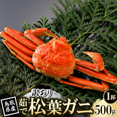 【ふるさと納税】【先行予約】鳥取県産 訳あり 茹 松葉がに 500g×1杯(中村商店)2026年11月発送【配送不可地域：離島・北海道・沖縄県・東北・信越、北陸】【1654060】