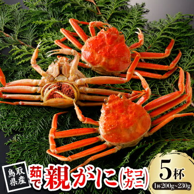 【ふるさと納税】【先行予約】鳥取県産 茹 親がに(セコガニ)200～230g×5杯 2026年11月発送【配送不可地域：離島・北海道・沖縄県・東北・信越、北陸】【1654338】