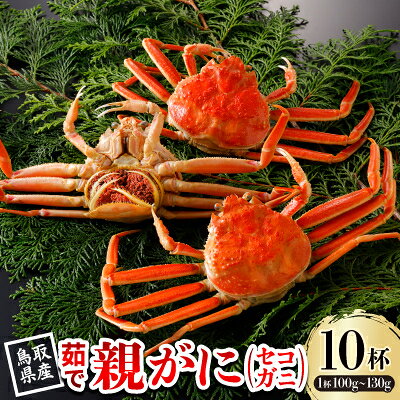 【ふるさと納税】【先行予約】鳥取県産 茹 親がに(セコガニ)100～130g×10杯 2026年11月発送【配送不可地域：離島・北海道・沖縄県・東北・信越、北陸】【1654359】