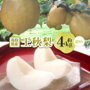 【ふるさと納税】2025年発送【訳あり】王秋梨 4kg(4〜13玉前後)【配送不可地域:離島・北海道・沖縄県】【1688922】