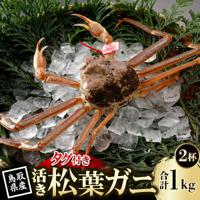 【ふるさと納税】【先行予約】鳥取県産 タグ付き 活 松葉がに 500g×2杯(中村商店)2027年1月末より順次発送【配送不可地域：離島・北海道・沖縄県・東北・信越、北陸】【1692907】