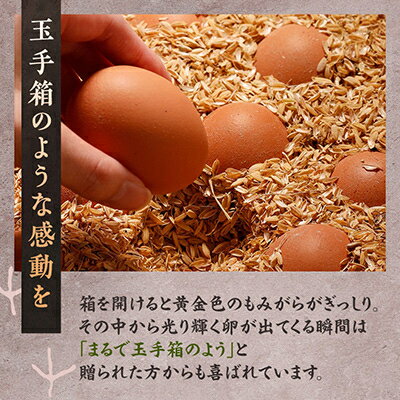 【ふるさと納税】天美卵もみがら詰め30個【1701154】