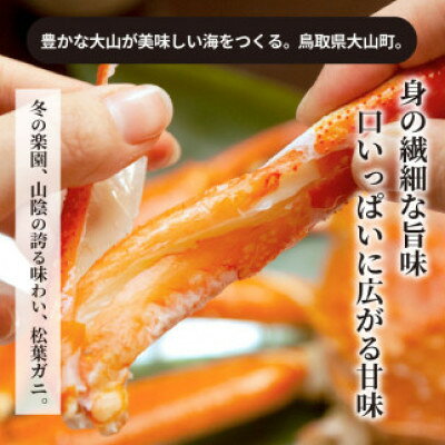 【ふるさと納税】【11月中旬以降順次発送】[冷凍]訳あり松葉ガニ約2kg詰め合わせ　 OM-13-1【配送不可地域：離島】【1745592】