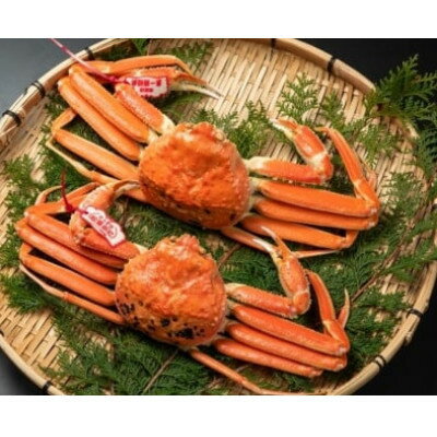 【ふるさと納税】【11月中旬以降順次発送】ブランドタグ付ボイル松葉ガニ　600～700gを2枚　OM-27【配送不可地域：離島・北海道・沖縄県・東北・信越、北陸】【1745603】 f313289-chizu-10000517 鳥取県智頭町 パッケージ画像