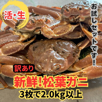 名称 【さかなや新鮮組】鳥取県産 訳あり 活松葉ガニ2.0kgセット ご家庭用 漁港直送 保存方法 冷蔵 発送時期 2026/11/08から順次発送 ※2026/11/08以降のお申し込みは1～2週間程度で順次発送 提供元 さかなや新鮮組（智頭町） 配達外のエリア 離島、北海道、沖縄県、東北、信越、北陸 お礼品の特徴 最高級松葉ガニの足が1～2本折れているだけで、鮮度・味も変わらず抜群です。 山陰沖で獲れる松葉ガニは、味がとても濃厚なのが特徴。 身の入り・カニ味噌の入りは間違いありません。ギッシリ詰まってます! 食感・味・香りの良さは極上です。 鳥取の冬の味覚!本場・本物の最高級松葉ガニをご堪能下さいませ。 ■お礼品の内容について ・訳あり 活 松葉ガニ[3枚　足1～2本折れ　総重量2kg以上] 　　原産地:鳥取県 　　賞味期限:出荷日+3日 ■注意事項/その他 ※活きている状態での重さです。茹でると多少減少いたします。 ※カニの一番下の足(小指)が落ちていても、地元鳥取では『足ぞろい』として取引されます。 当店でもそれに準じています。 ※天候や水揚げ量に左右されるため、お届け日の指定はお受けできません。 ※天候や水揚げの状況により発送にお時間を頂く場合がございます。 ※生産における都合上、常時ご用意できる数量には限りがございますので、発送にお時間をいただく場合がございます。 ※画像はイメージです。 ・ふるさと納税よくある質問はこちら ・寄附申込みのキャンセル、返礼品の変更・返品はできません。あらかじめご了承ください。 【関連キーワード】 季節のご挨拶に お正月 賀正 新年 新春 初売り 年賀 成人式 成人祝 節分 バレンタイン ひな祭り ホワイトデー 卒業式 卒業祝い 入学祝 お花見 ゴールデンウィーク GW こどもの日 端午の節句 お母さん ママ 母の日 お父さん パパ 父の日 七夕 初盆 お盆 お中元 御中元 中元 お彼岸 残暑御見舞 残暑見舞い 敬老の日 おじいちゃん 祖父 おばあちゃん 祖母 寒中お見舞い クリスマス お歳暮 御歳暮 ギフト プレゼント 贈り物 セット 日常の贈り物に お見舞い 退院祝い 全快祝い 快気祝い 快気内祝い ご挨拶 ごあいさつ 引っ越しご挨拶 引越しご挨拶 お宮参り御祝 合格祝い 進学内祝い 成人式 御成人御祝 卒業記念品 卒業祝い 御卒業御祝 入学祝い 入学内祝い 小学校 中学校 高校 大学 就職祝い 社会人 幼稚園 入園内祝い 御入園御祝 お祝い 御祝い 内祝い 金婚式御祝 銀婚式御祝 御結婚お祝い ご結婚御祝い 御結婚御祝 結婚祝い 結婚内祝い 結婚式 引き出物 引出物 引き菓子 御出産御祝 ご出産御祝い 出産御祝 出産祝い 出産内祝い 御新築祝 新築御祝 新築内祝い 祝御新築 祝御誕生日 バースデー バースデイ バースディ 七五三御祝 753 初節句御祝 節句 昇進祝い 昇格祝い 就任 お供え 法事 供養 法人・企業様に 開店祝い 開店お祝い 開業祝い 周年記念 異動 栄転 転勤 退職 定年退職 挨拶回り 転職 お餞別 贈答品 景品 コンペ 粗品 手土産 寸志 歓迎 新歓 送迎 歓送迎 新年会 二次会 忘年会 記念品 関連キーワード 楽天ふるさと納税 ふるさと納税 ふるさと 39ショップ買いまわり 39ショップ キャンペーン 買いまわり 買い回り 買い周り お買い物マラソン マラソンセール SS 楽天スーパーセール スーパーセール スーパーSALE SS スーパーセール 人気 ランキング コロナ コロナ支援 お試し 贈答 贈答用 国産 年内 送料無料このお礼品は以下の地域にはお届けできません。 ご注意ください。 離島、北海道、沖縄県、東北、信越、北陸