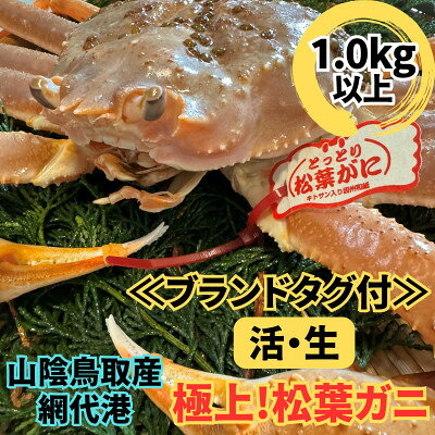名称 【さかなや新鮮組】鳥取県産 ブランドタグ付き 活 極上松葉ガニ(1.0kg以上) 1枚 保存方法 冷蔵 発送時期 2026/11/08から順次発送 ※2026/11/08以降のお申し込みは1～2週間程度で順次発送 提供元 さかなや新鮮組（智頭町） 配達外のエリア 離島、北海道、沖縄県、東北、信越、北陸 お礼品の特徴 松葉ガニ(まつばがに)|冬の日本海が育てた極上の味覚 鳥取でもこのクラスになると皆が振り返る大きさ。 高級料亭しか味わえないサイズの松葉ガニを、お届けいたします。 冷たい日本海の荒波にもまれて育った松葉ガニは、身がぎっしり詰まり、繊維が細かく、口に入れた瞬間に広がる上品な甘みが特長。 さらに、濃厚でコク深いカニ味噌は通好みの味わいで、茹で・焼き・鍋、どの調理法でも素材の良さが際立ちます。 ■お礼品の内容について ・ブランドタグ付 活 松葉ガニ[1枚　重量1.0kg以上] 　　原産地:鳥取県 　　賞味期限:出荷日+3日 ■注意事項/その他 ※活きている状態での重さです。茹でると多少減少いたします。 ※カニの一番下の足(小指)が落ちていても、地元鳥取では『足ぞろい』として取引されます。 当店でもそれに準じています。 ※天候や水揚げ量に左右されるため、お届け日の指定はお受けできません。 ※天候や水揚げの状況により発送にお時間を頂く場合がございます。 ※生産における都合上、常時ご用意できる数量には限りがございますので、発送にお時間をいただく場合がございます。 ※画像はイメージです。 ・ふるさと納税よくある質問はこちら ・寄附申込みのキャンセル、返礼品の変更・返品はできません。あらかじめご了承ください。 【関連キーワード】 季節のご挨拶に お正月 賀正 新年 新春 初売り 年賀 成人式 成人祝 節分 バレンタイン ひな祭り ホワイトデー 卒業式 卒業祝い 入学祝 お花見 ゴールデンウィーク GW こどもの日 端午の節句 お母さん ママ 母の日 お父さん パパ 父の日 七夕 初盆 お盆 お中元 御中元 中元 お彼岸 残暑御見舞 残暑見舞い 敬老の日 おじいちゃん 祖父 おばあちゃん 祖母 寒中お見舞い クリスマス お歳暮 御歳暮 ギフト プレゼント 贈り物 セット 日常の贈り物に お見舞い 退院祝い 全快祝い 快気祝い 快気内祝い ご挨拶 ごあいさつ 引っ越しご挨拶 引越しご挨拶 お宮参り御祝 合格祝い 進学内祝い 成人式 御成人御祝 卒業記念品 卒業祝い 御卒業御祝 入学祝い 入学内祝い 小学校 中学校 高校 大学 就職祝い 社会人 幼稚園 入園内祝い 御入園御祝 お祝い 御祝い 内祝い 金婚式御祝 銀婚式御祝 御結婚お祝い ご結婚御祝い 御結婚御祝 結婚祝い 結婚内祝い 結婚式 引き出物 引出物 引き菓子 御出産御祝 ご出産御祝い 出産御祝 出産祝い 出産内祝い 御新築祝 新築御祝 新築内祝い 祝御新築 祝御誕生日 バースデー バースデイ バースディ 七五三御祝 753 初節句御祝 節句 昇進祝い 昇格祝い 就任 お供え 法事 供養 法人・企業様に 開店祝い 開店お祝い 開業祝い 周年記念 異動 栄転 転勤 退職 定年退職 挨拶回り 転職 お餞別 贈答品 景品 コンペ 粗品 手土産 寸志 歓迎 新歓 送迎 歓送迎 新年会 二次会 忘年会 記念品 関連キーワード 楽天ふるさと納税 ふるさと納税 ふるさと 39ショップ買いまわり 39ショップ キャンペーン 買いまわり 買い回り 買い周り お買い物マラソン マラソンセール SS 楽天スーパーセール スーパーセール スーパーSALE SS スーパーセール 人気 ランキング コロナ コロナ支援 お試し 贈答 贈答用 国産 年内 送料無料このお礼品は以下の地域にはお届けできません。 ご注意ください。 離島、北海道、沖縄県、東北、信越、北陸