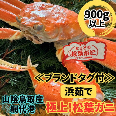 【ふるさと納税】【さかなや新鮮組】鳥取県産 ブランドタグ付き 浜茹で 極上松葉ガ...