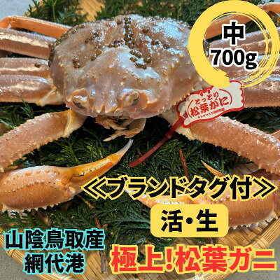 [さかなや新鮮組]鳥取県産 ブランドタグ付き 活松葉ガニ(中)700g以上 1枚 漁港直送[配送不可地域:離島・北海道・沖縄県・東北・信越、北陸]