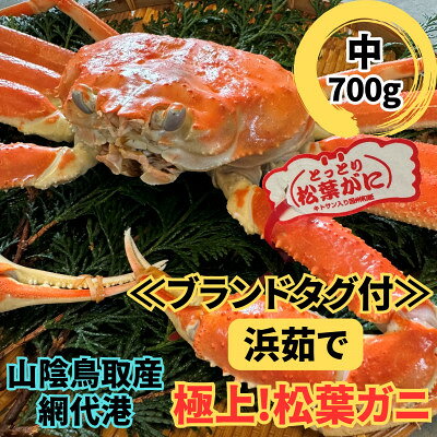 [さかなや新鮮組]鳥取県産 ブランドタグ付き 浜茹で松葉ガニ(中)700g以上 1枚 漁港直送[配送不可地域:離島・北海道・沖縄県・東北・信越、北陸]