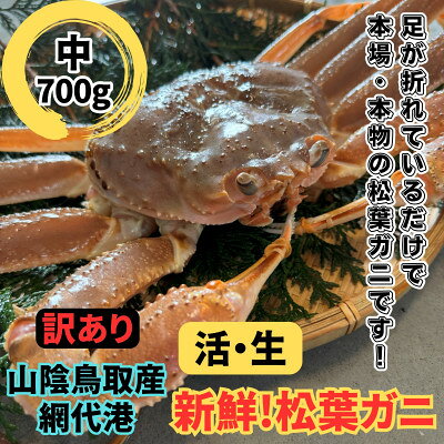 [さかなや新鮮組]鳥取県産 訳あり 活松葉ガニ(中)700g以上 1枚 漁港直送[配送不可地域:離島・北海道・沖縄県・東北・信越、北陸]