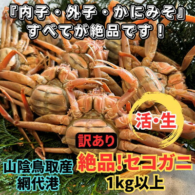 【ふるさと納税】【さかなや新鮮組】鳥取県産 訳あり 活 絶品セコガニ1.0kgセット ご家庭用 漁港直送【配送不可地域：離島・北海道・沖縄県・東北・信越、北陸】【1759642】
