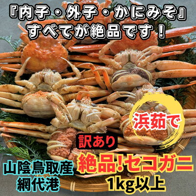 【ふるさと納税】【さかなや新鮮組】鳥取県産 訳あり 浜茹で 絶品セコガニ1.0kgセット ご家庭用 漁港直送【配送不可地域：離島・北海道・沖縄県・東北・信越、北陸】【1759649】