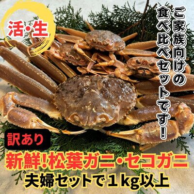[さかなや新鮮組]鳥取県産 訳あり 活松葉ガニ・セコガニ1.0kgセット ご家庭用 漁港直送[配送不可地域:離島・北海道・沖縄県・東北・信越、北陸]