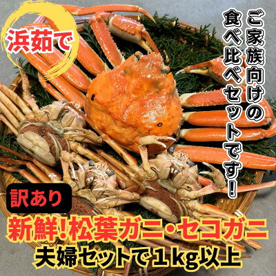 【ふるさと納税】【さかなや新鮮組】鳥取県産 訳あり 浜茹で松葉ガニ・セコガニ1.0...