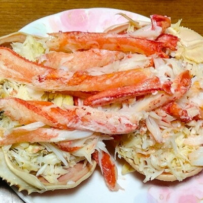 【ふるさと納税】【さかなや新鮮組】鳥取県産 訳あり 浜茹で松葉ガニ・セコガニ1.0kgセット ご家庭用 漁港直送【配送不可地域：離島・北海道・沖縄県・東北・信越、北陸】【1759709】