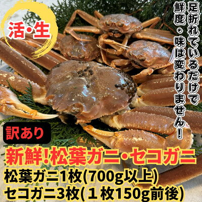 [さかなや新鮮組]鳥取県産 訳あり 活松葉ガニ1枚(700g以上)・セコガニ3枚セット 漁港直送[配送不可地域:離島・北海道・沖縄県・東北・信越、北陸]